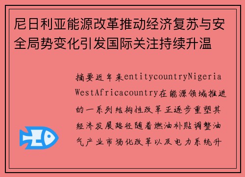 尼日利亚能源改革推动经济复苏与安全局势变化引发国际关注持续升温 尼日利亚能源改革推动经济复苏与安全局势变化引发国际关注持续升温